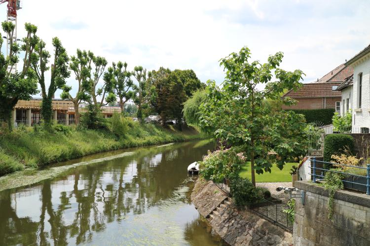 Die grüne Seite der Rur in Roermond