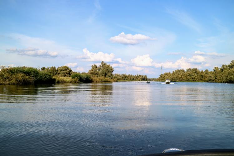 Nationalpark De Biesbosch