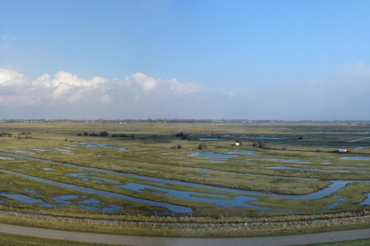 Yerseke