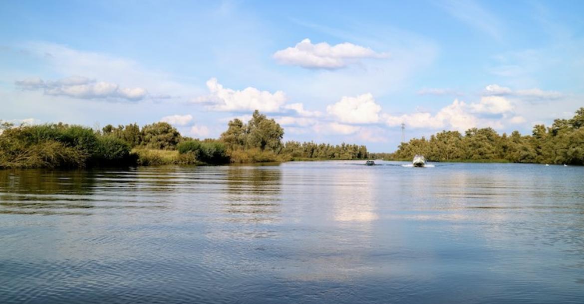 Mit dem Boot durch den Nationalpark De Biesbosch
