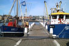 Hafen Urk